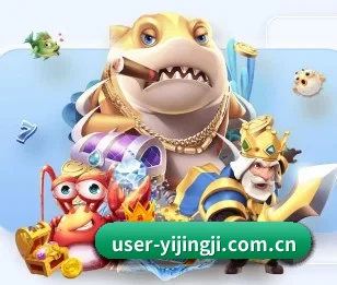 五大体育板块覆盖,从比分到直播全覆盖